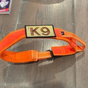 Orange K9 Dog collar